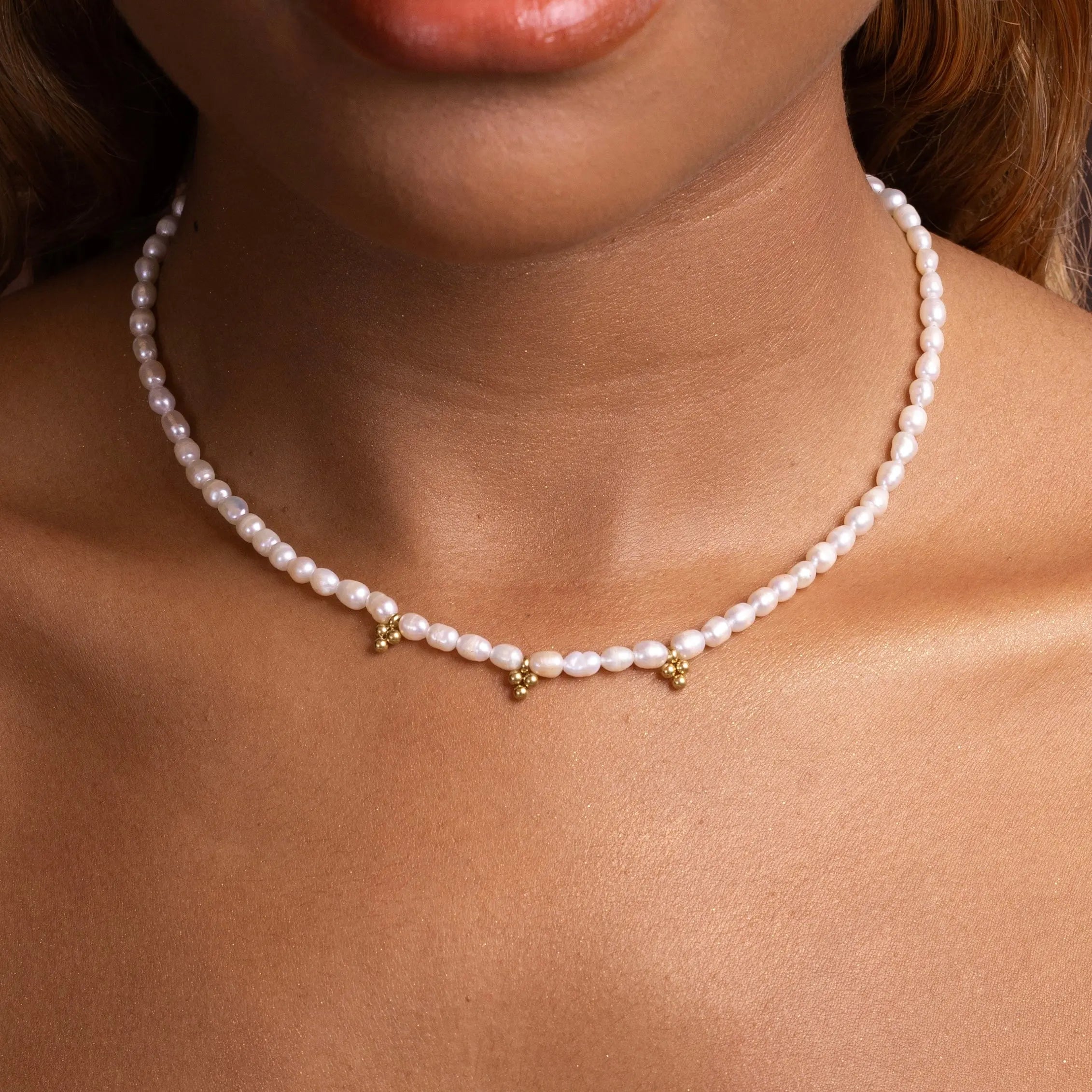 COLLIER DOVE - MAGUILEJ