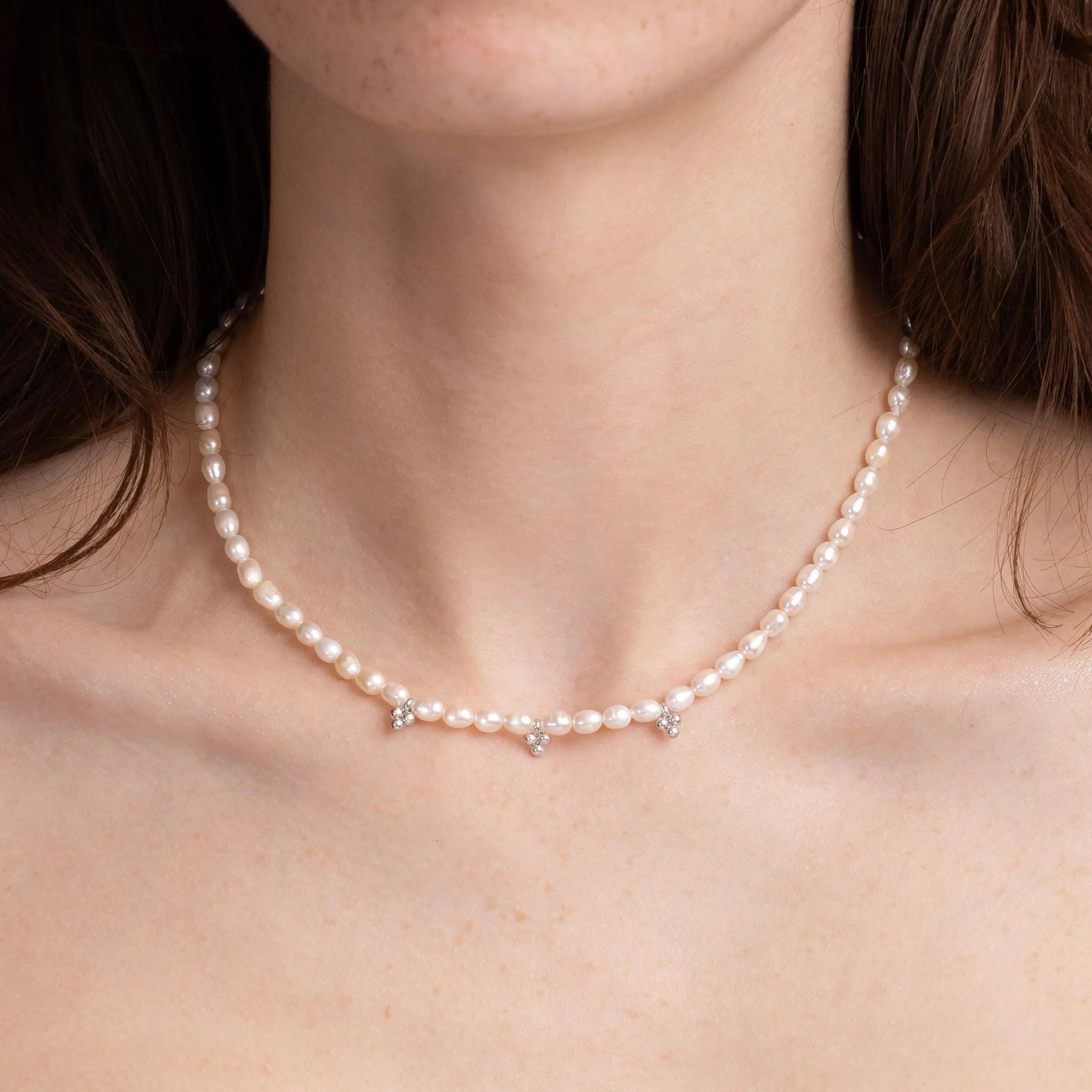 COLLIER DOVE - MAGUILEJ