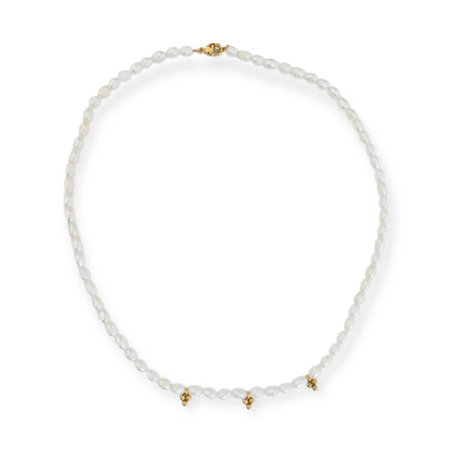 COLLIER DOVE - MAGUILEJ