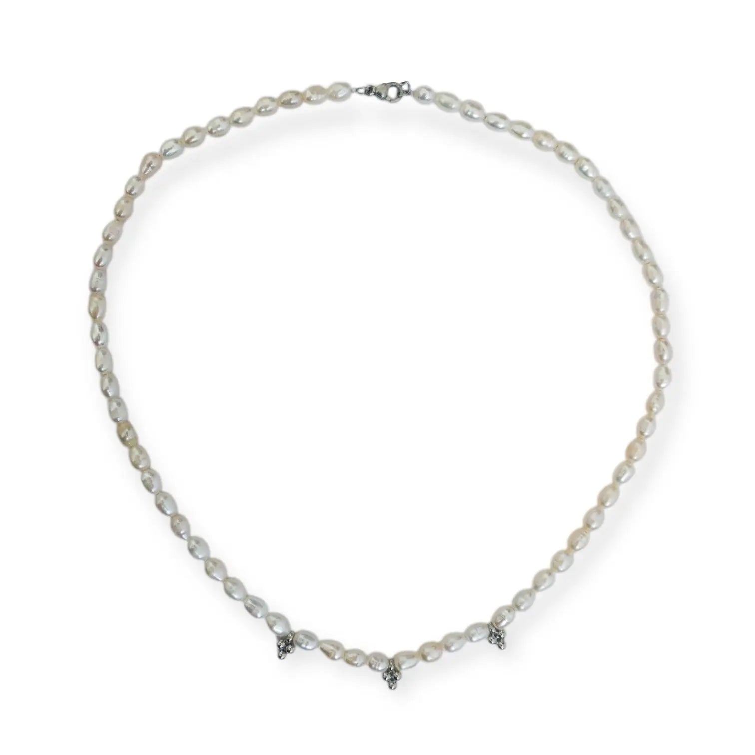 COLLIER DOVE - MAGUILEJ